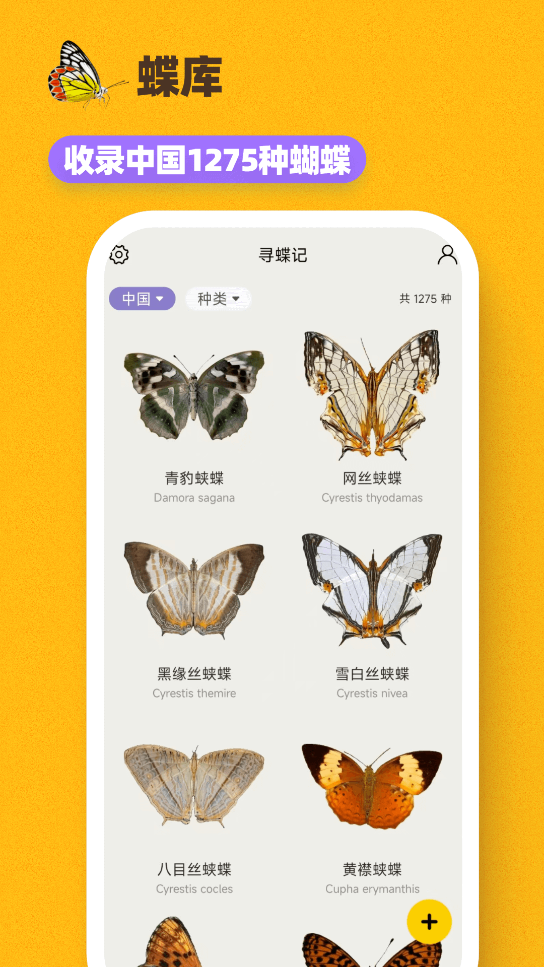 精彩截图-寻蝶记2025官方新版