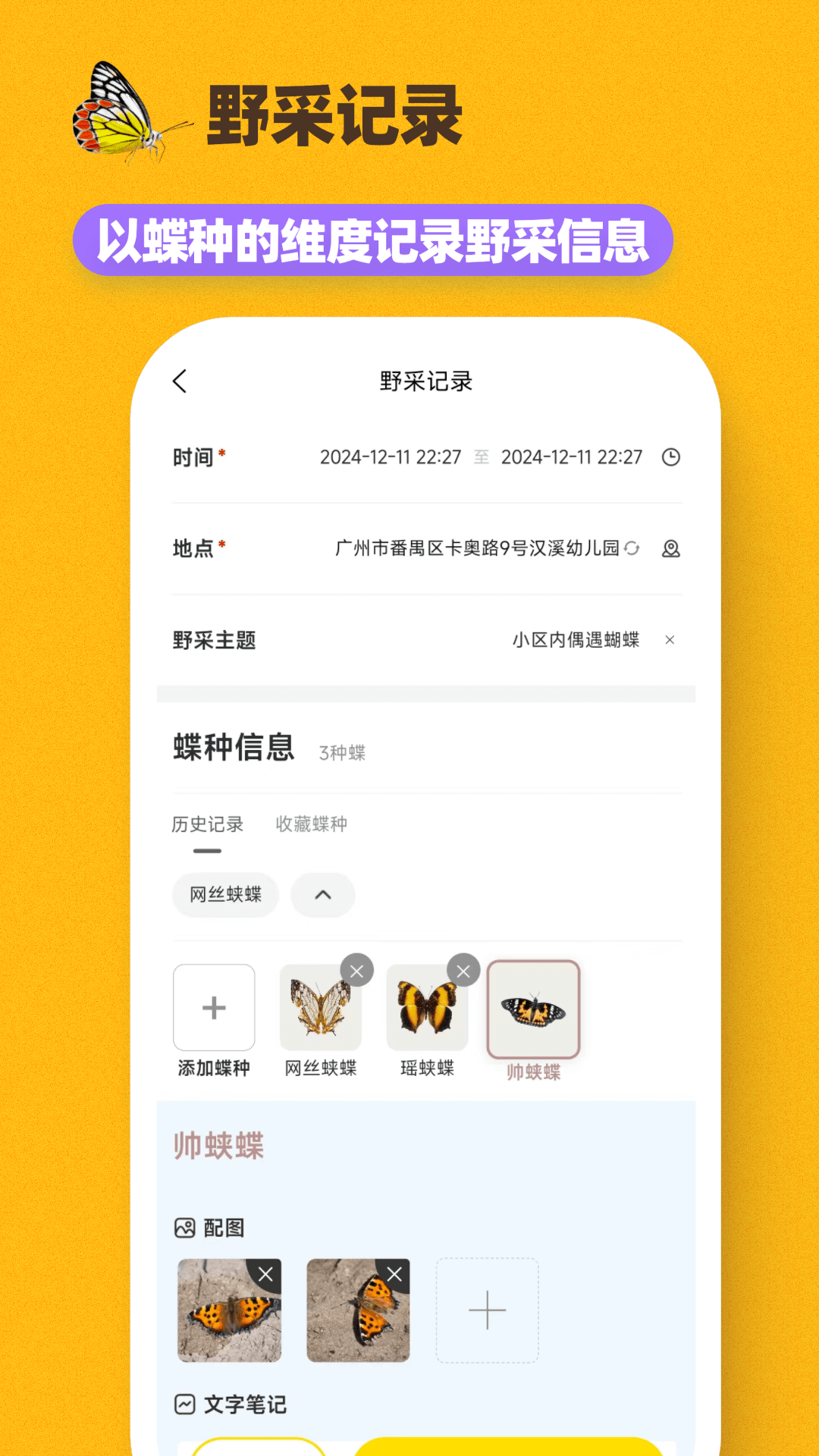 精彩截图-寻蝶记2025官方新版