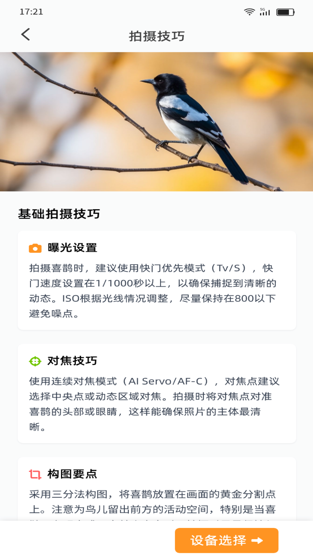 精彩截图-喜鹊福星2025官方新版