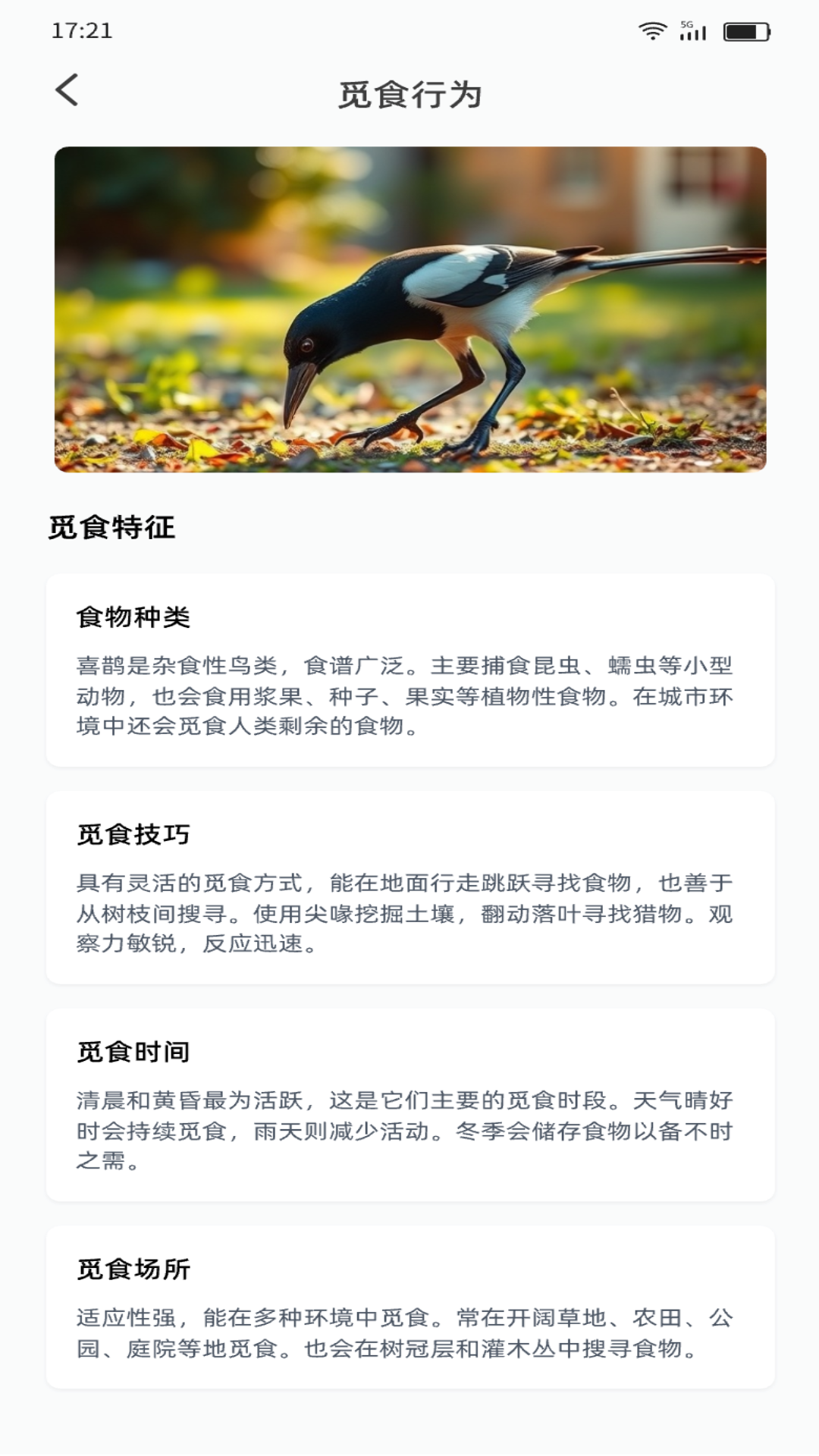 精彩截图-喜鹊福星2025官方新版