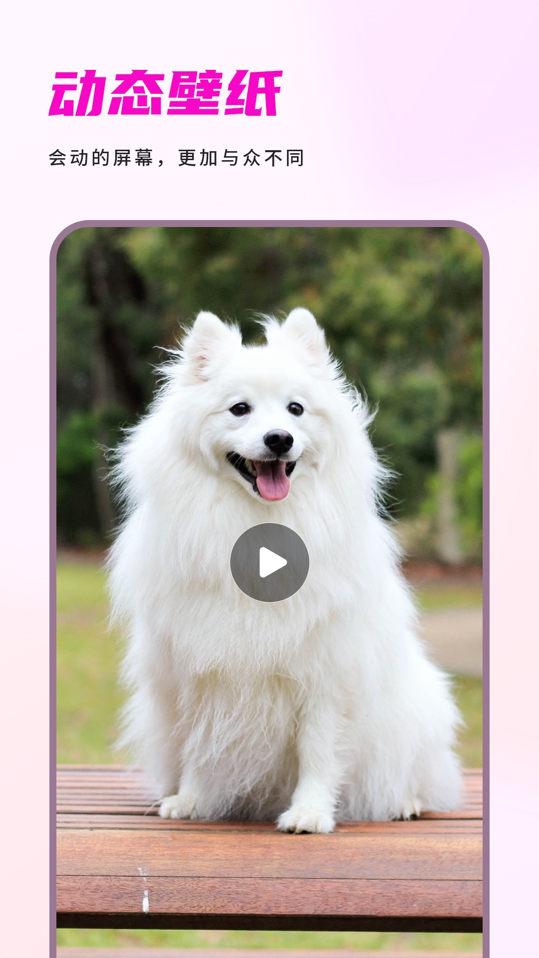 精彩截图-主题壁纸2026官方新版