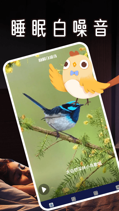 精彩截图-活力猫咪交流器2026官方新版