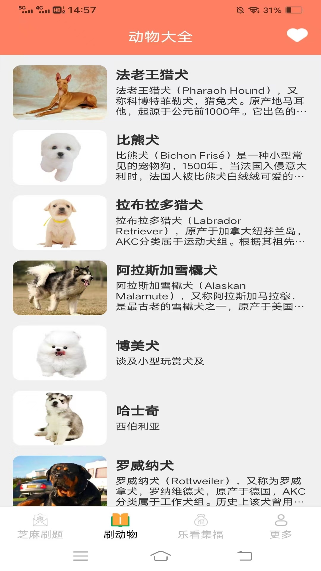 精彩截图-暮雪趣刷2026官方新版