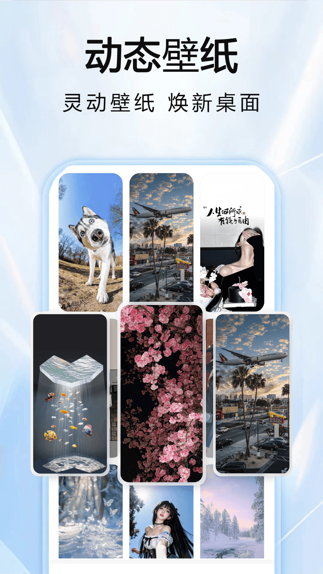 DVD相机 截图 4