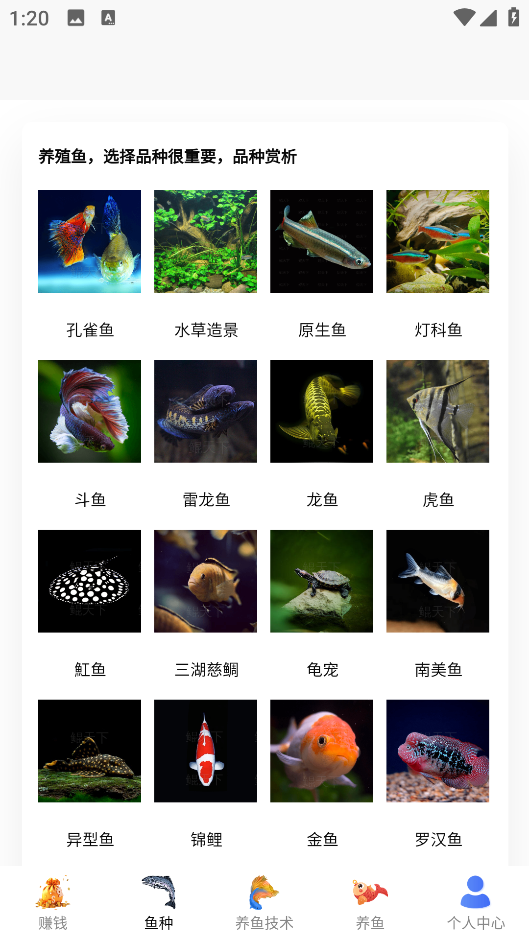 精彩截图-兼职养鱼赚钱2026官方新版