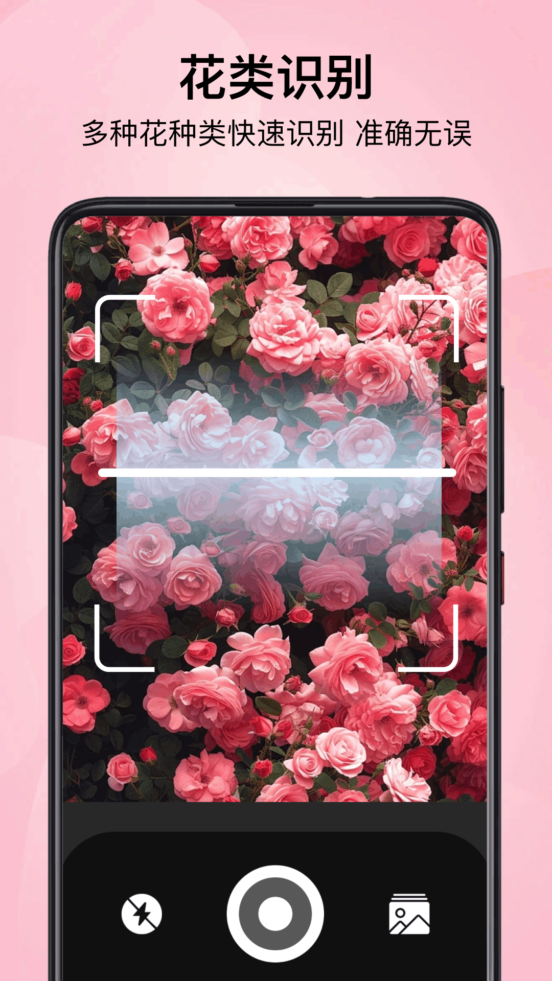 精彩截图-小园丁2026官方新版