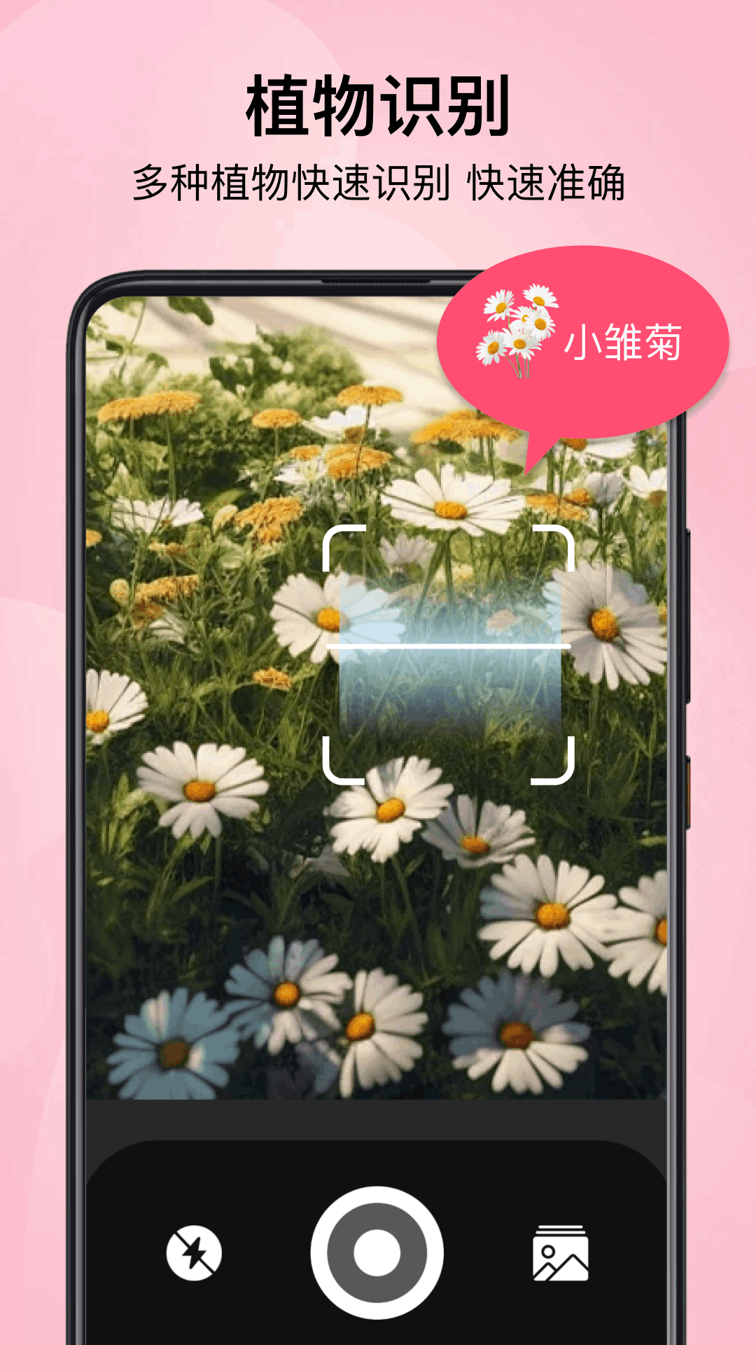 精彩截图-小园丁2026官方新版