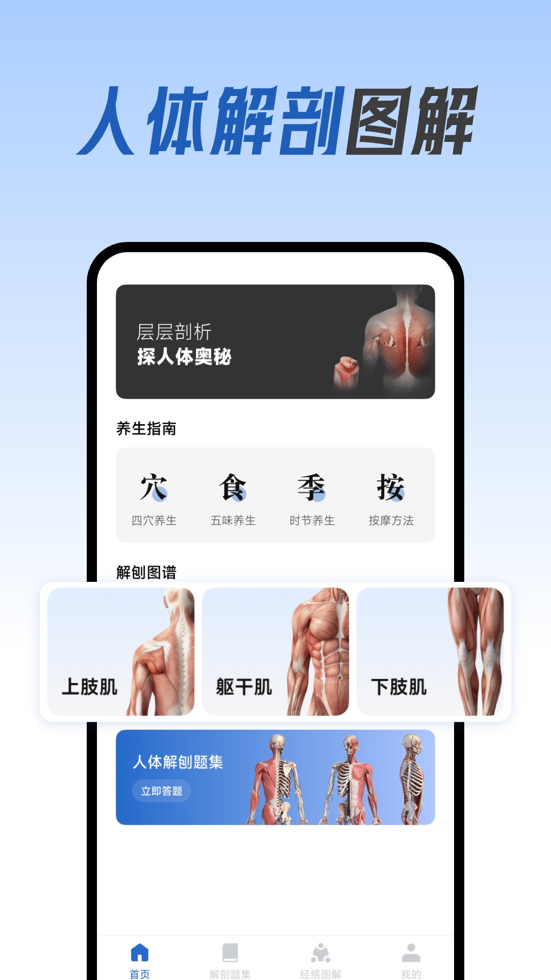 人体解剖图集安卓版高清截图