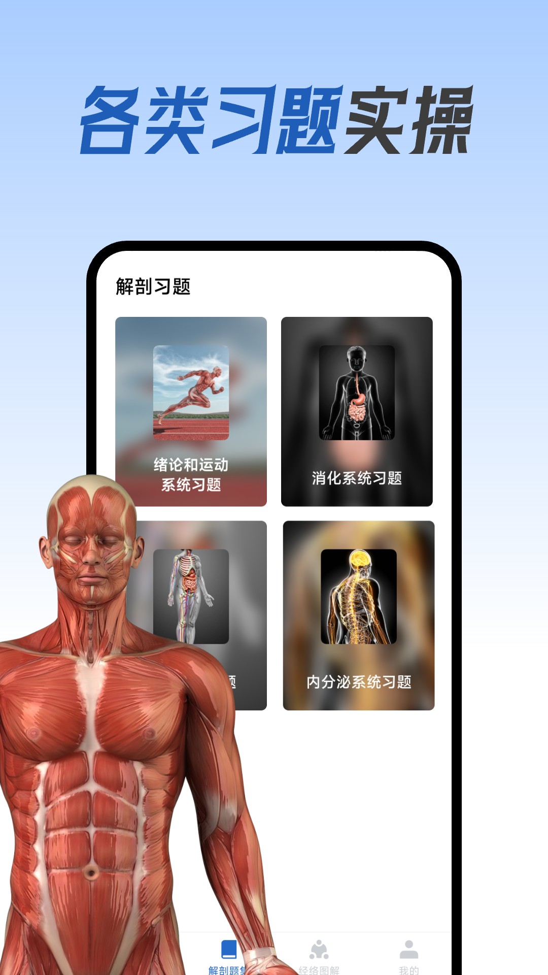 人体解剖图集安卓版高清截图