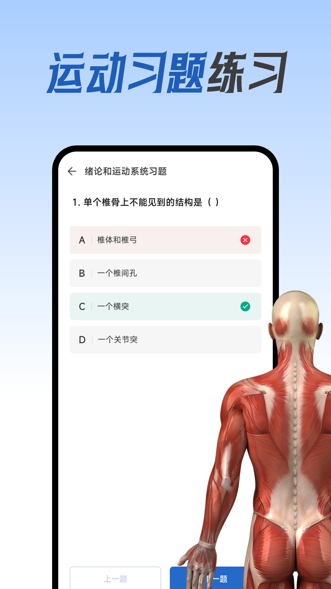人体解剖图集安卓版高清截图