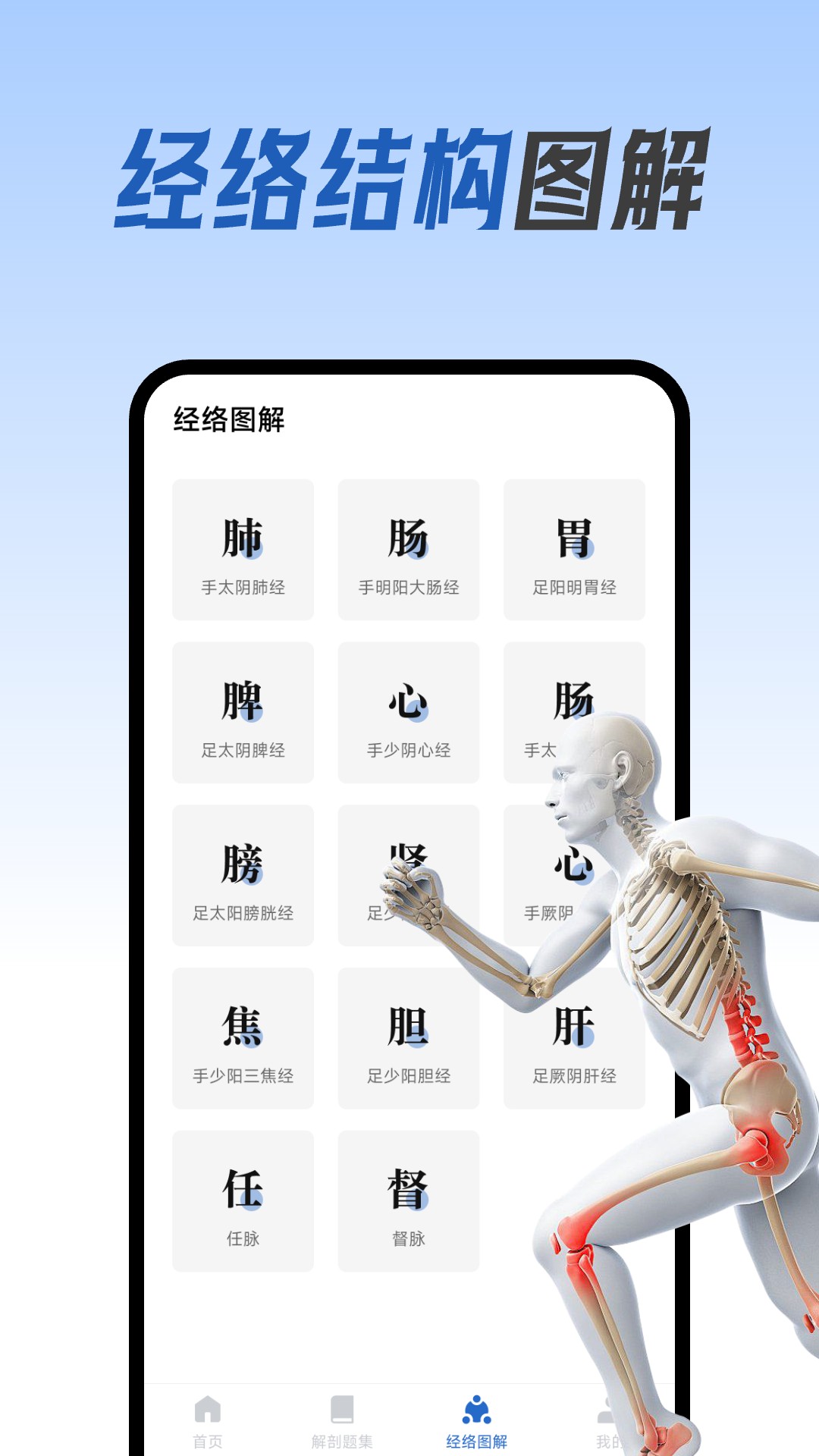 人体解剖图集安卓版高清截图