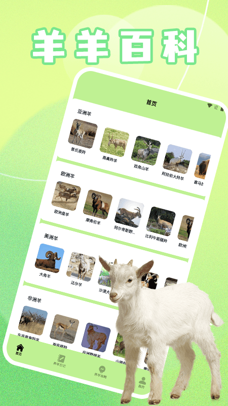 精彩截图-TicPic2026官方新版