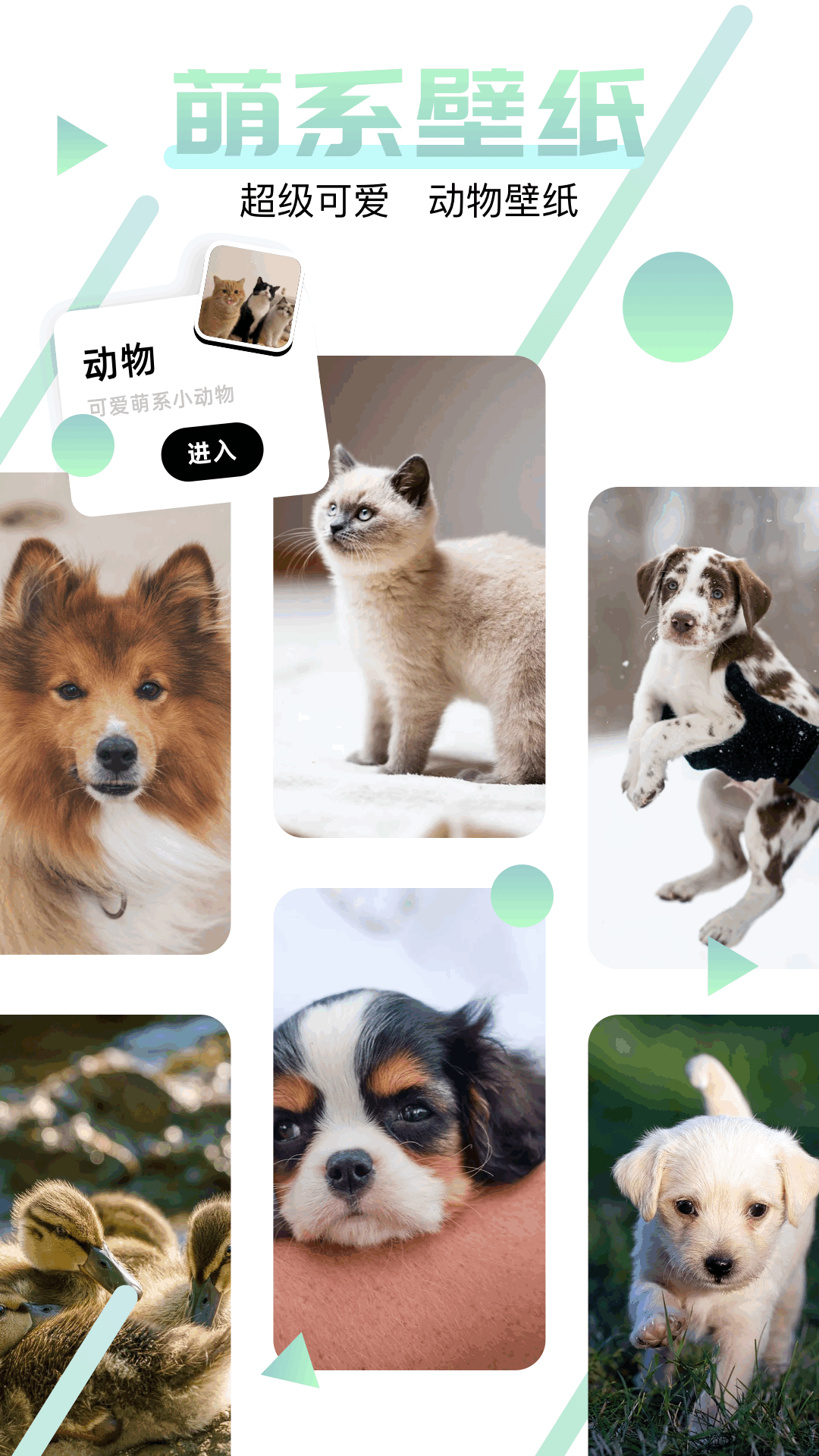 精彩截图-神图2026官方新版