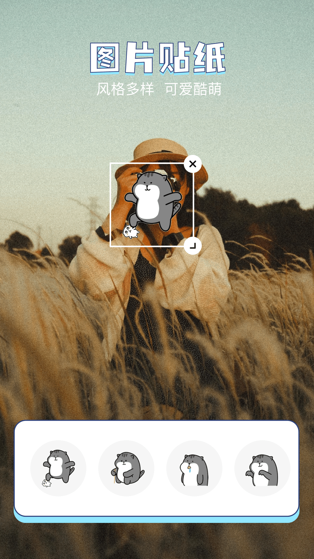 精彩截图-神图定制2026官方新版