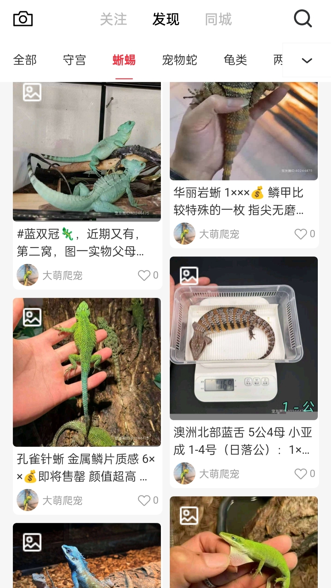 精彩截图-宠友圈2026官方新版