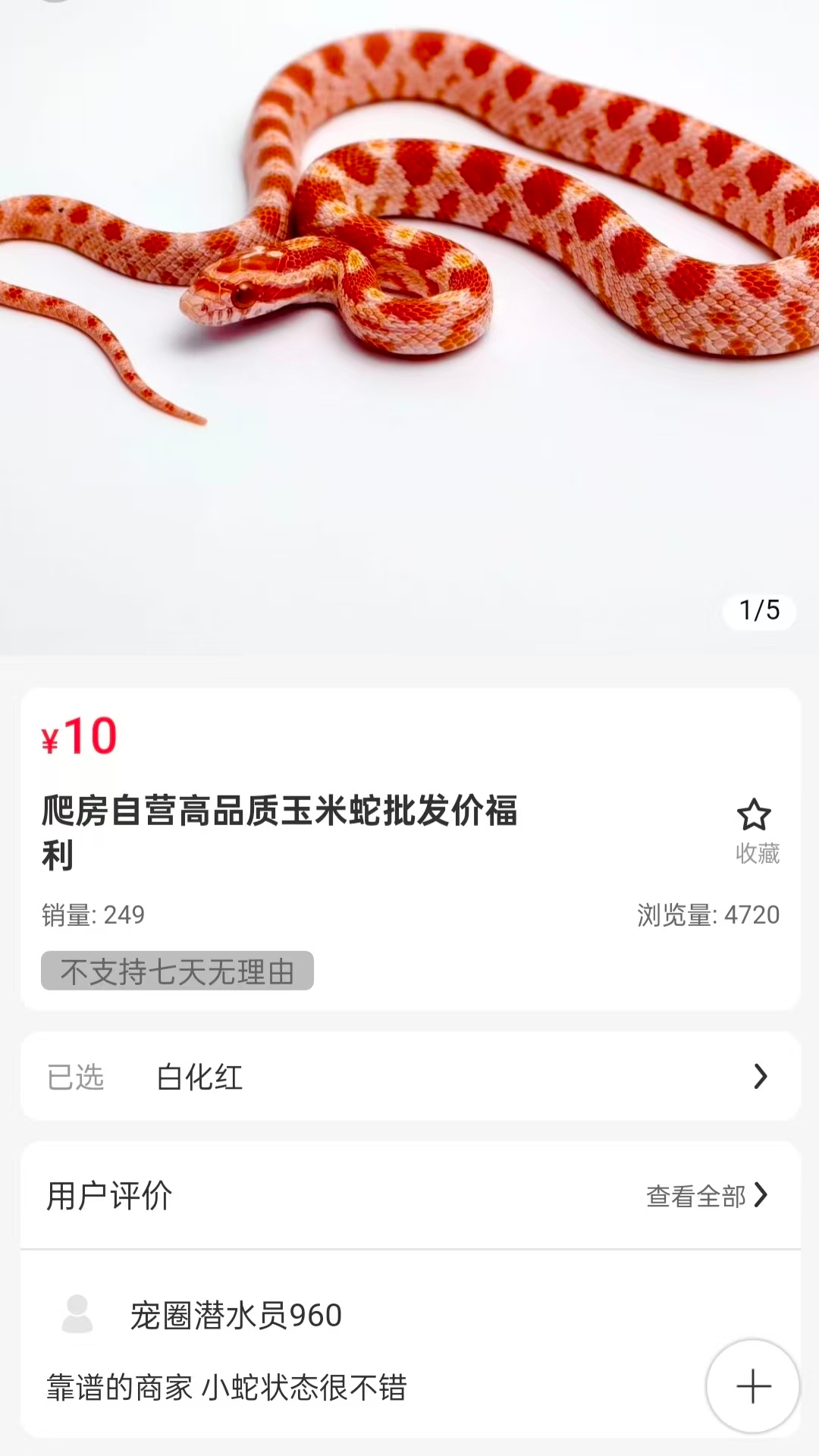 精彩截图-宠友圈2026官方新版