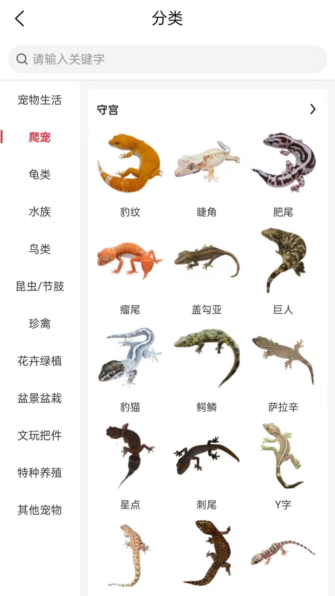 精彩截图-宠友圈2026官方新版