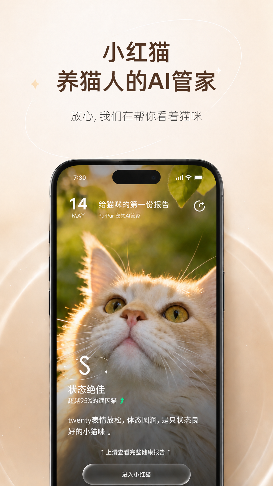精彩截图-猫着吧2026官方新版