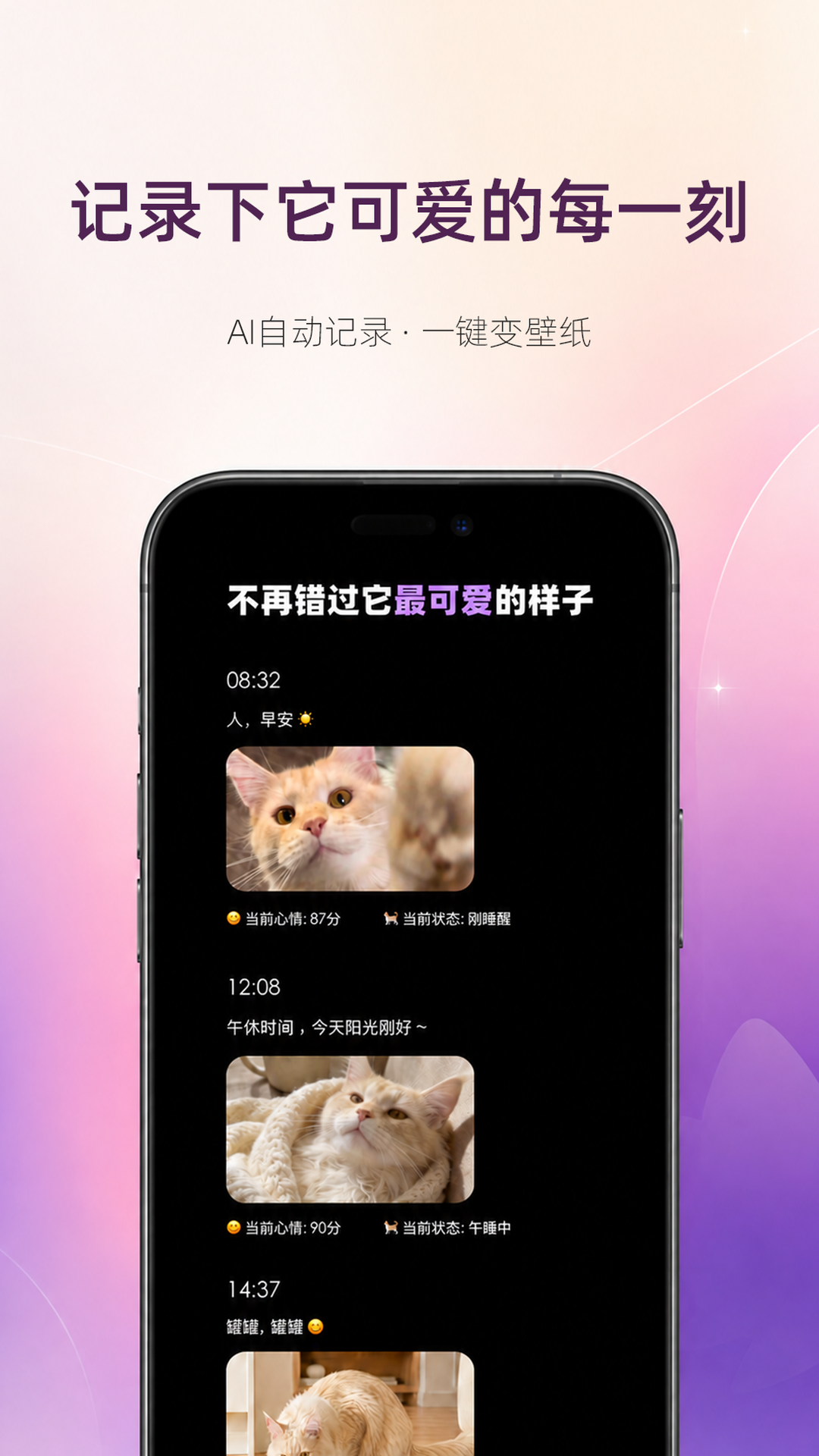 精彩截图-猫着吧2026官方新版