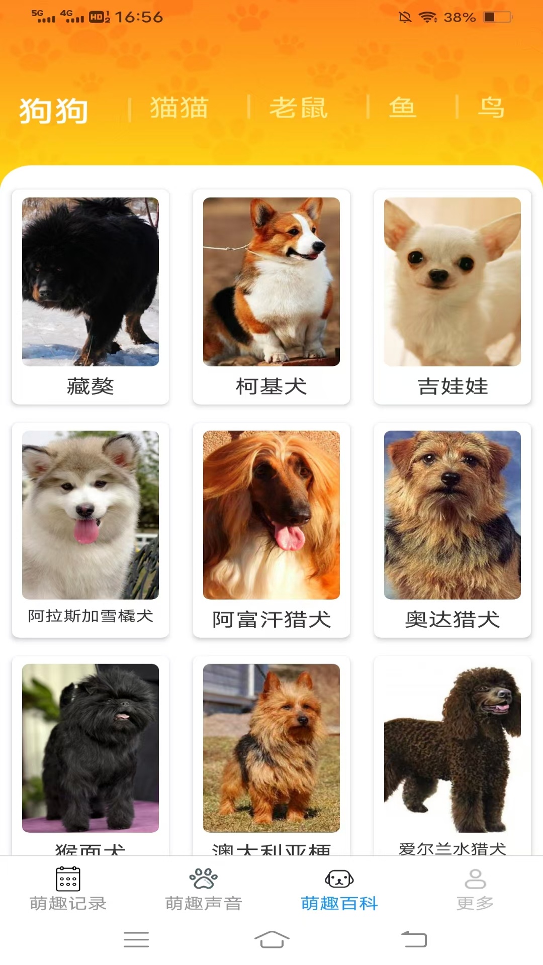 精彩截图-萌趣多多2026官方新版