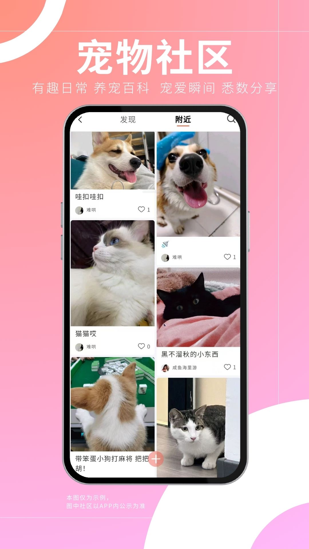 精彩截图-医宠点评2025官方新版