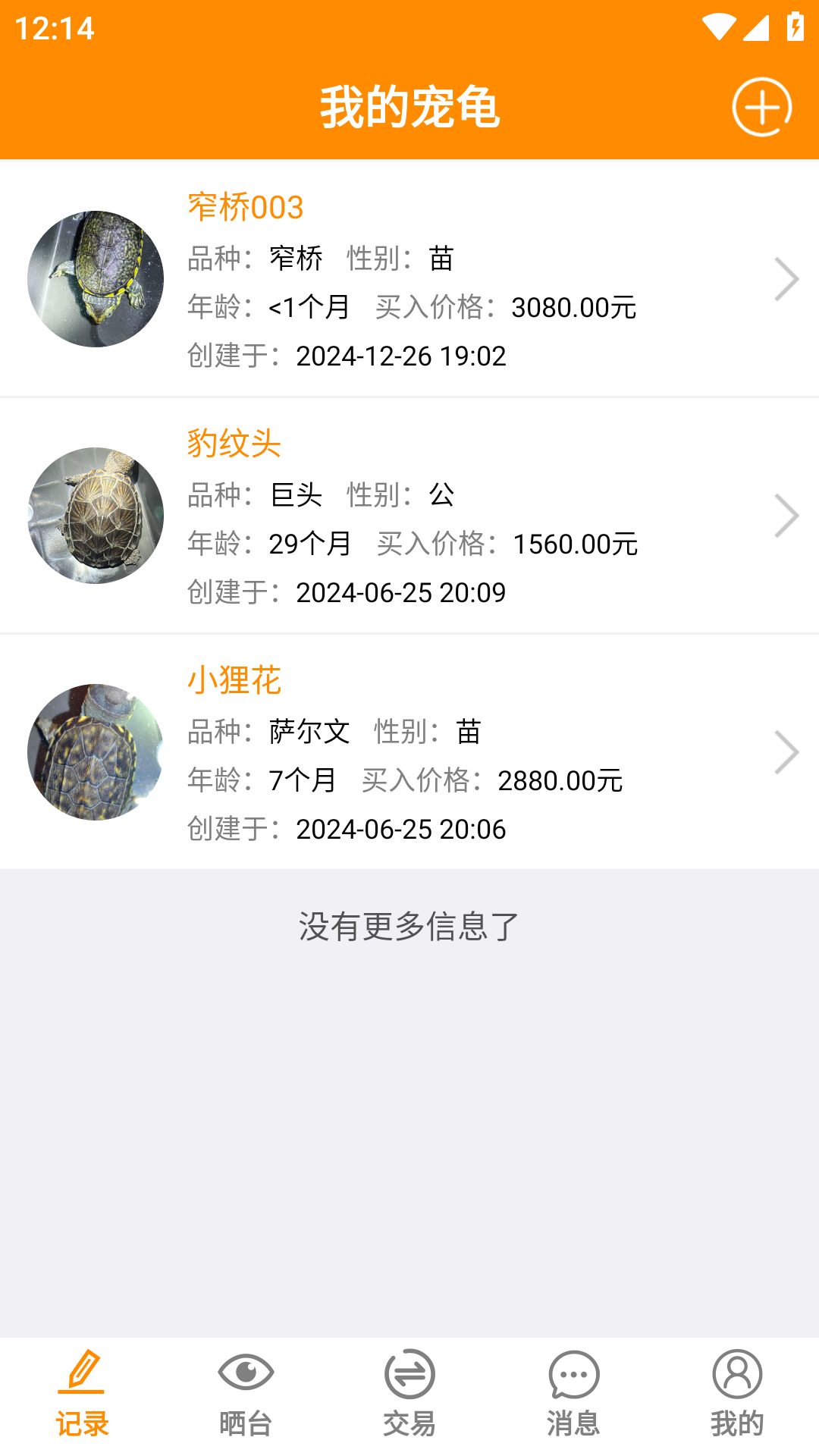 精彩截图-龟圈江湖2026官方新版