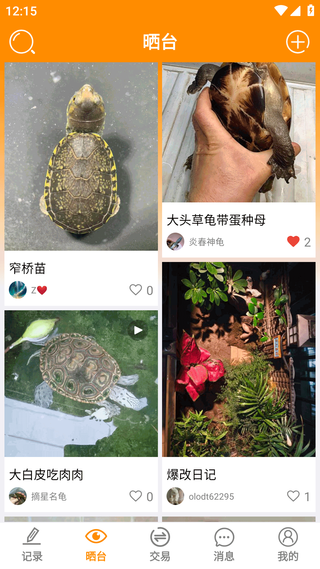 精彩截图-龟圈江湖2026官方新版