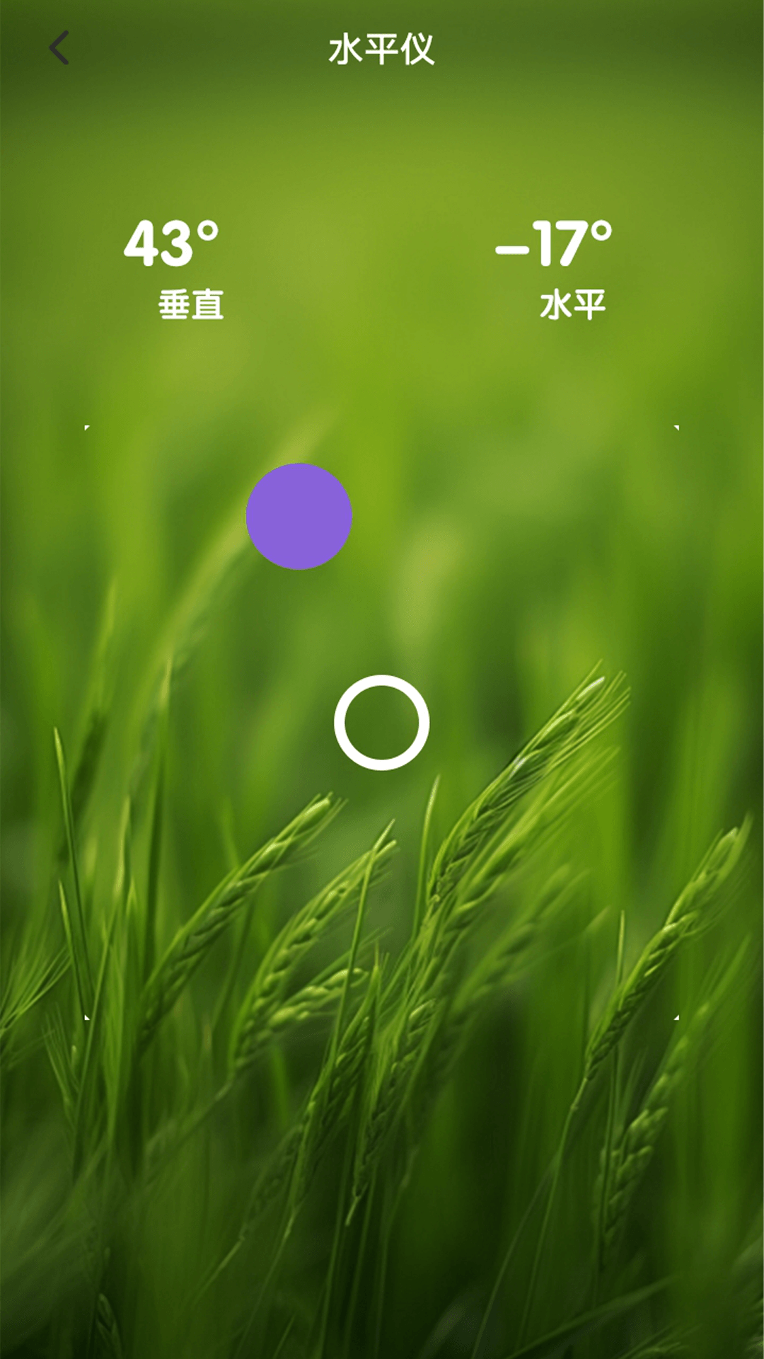 精彩截图-蝙蝠互动乐盒2026官方新版