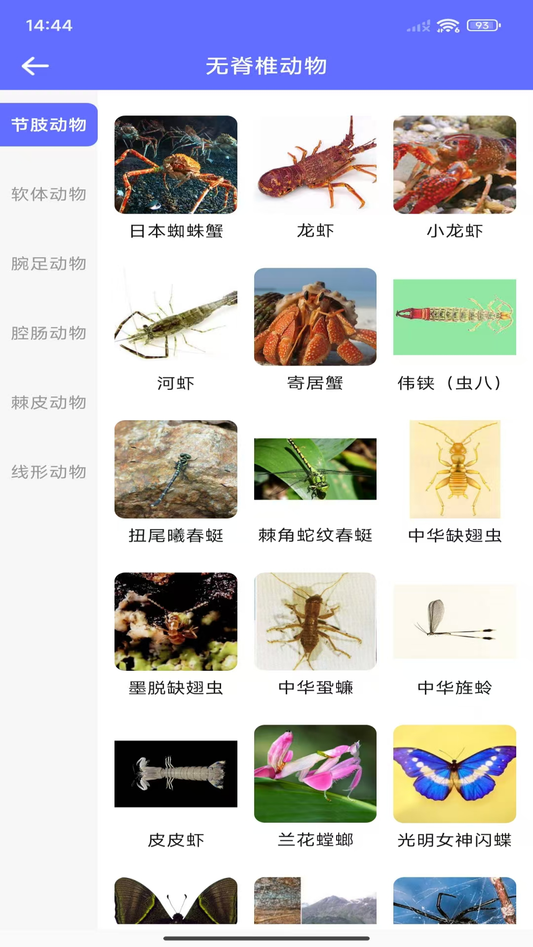 精彩截图-动物拍照识别2026官方新版