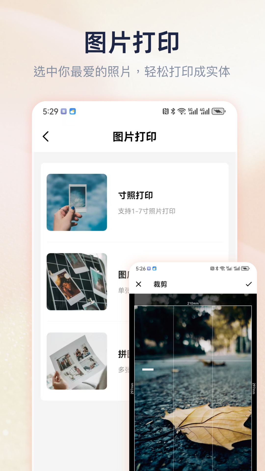 精彩截图-Cam PRINT2026官方新版