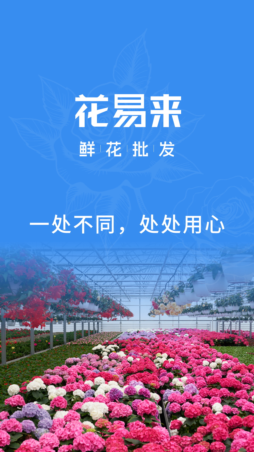 精彩截图-花易来2026官方新版