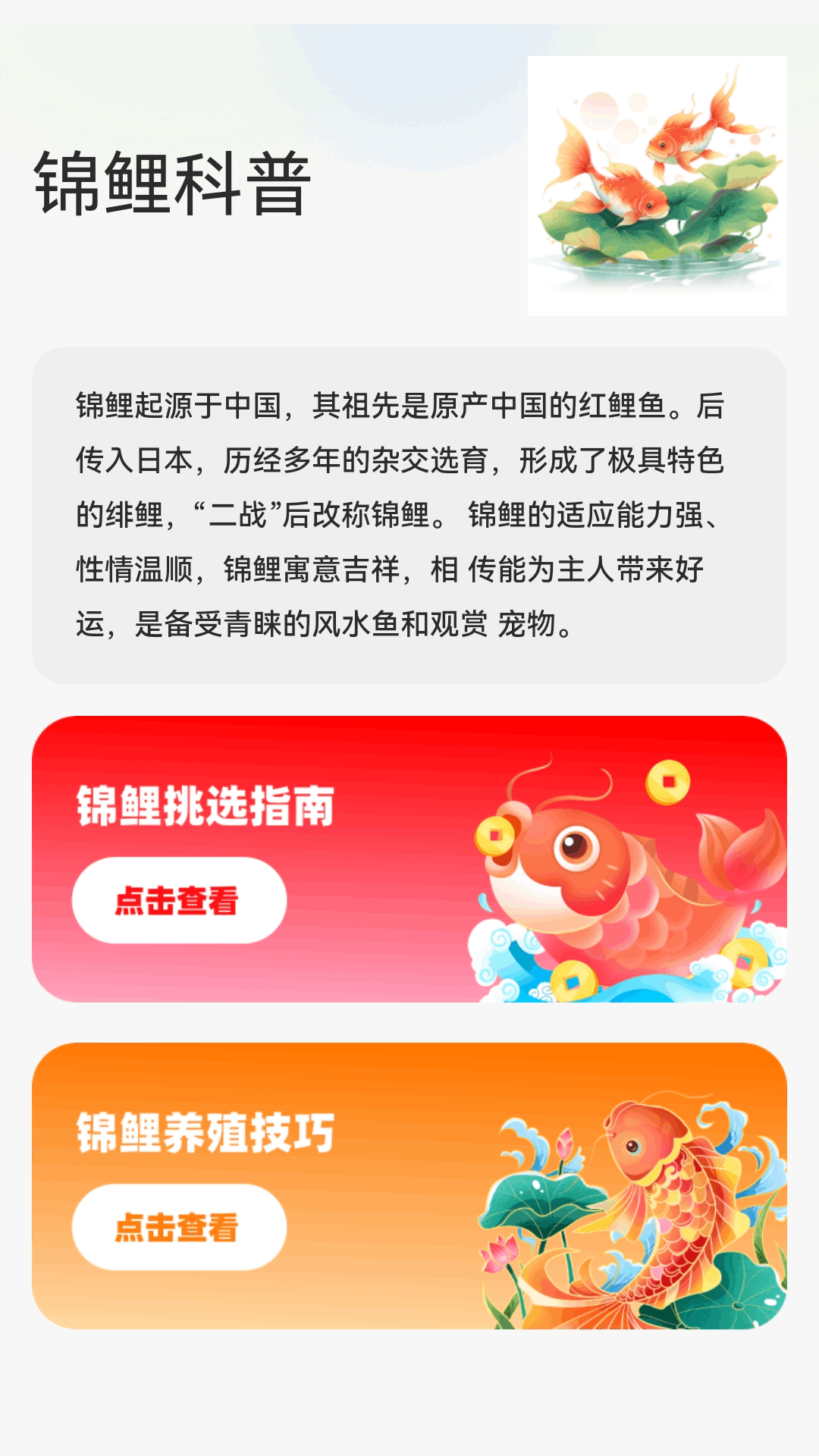 精彩截图-锦鲤迎春2026官方新版
