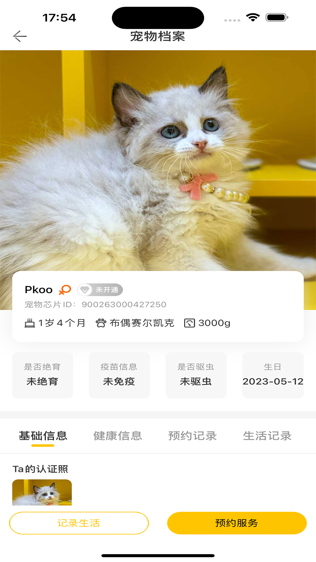 精彩截图-超级彼得2025官方新版