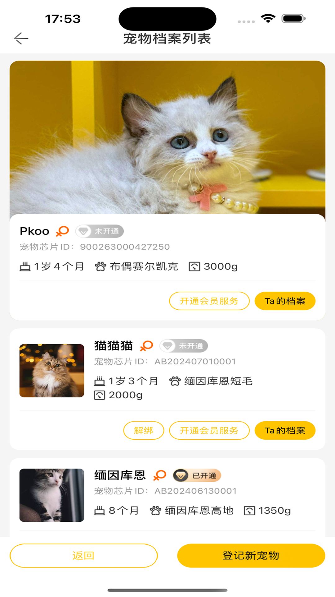 精彩截图-超级彼得2025官方新版