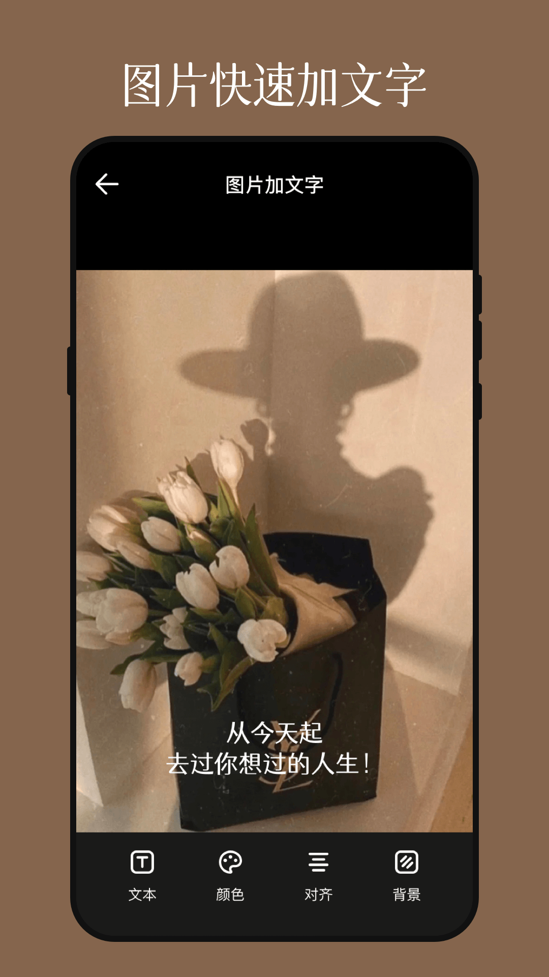 精彩截图-影视图片编辑器2026官方新版