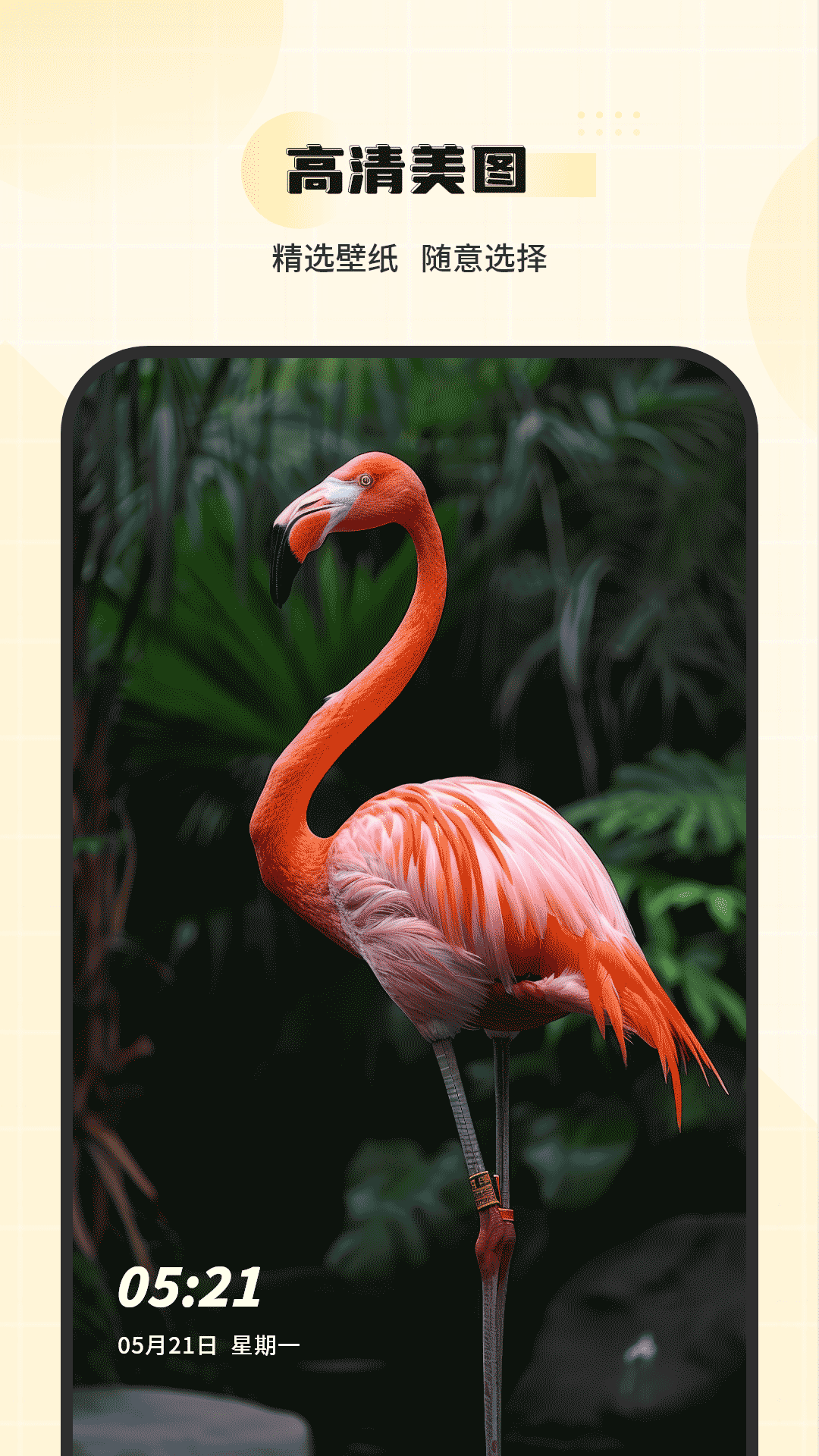 精彩截图-主题壁纸2026官方新版