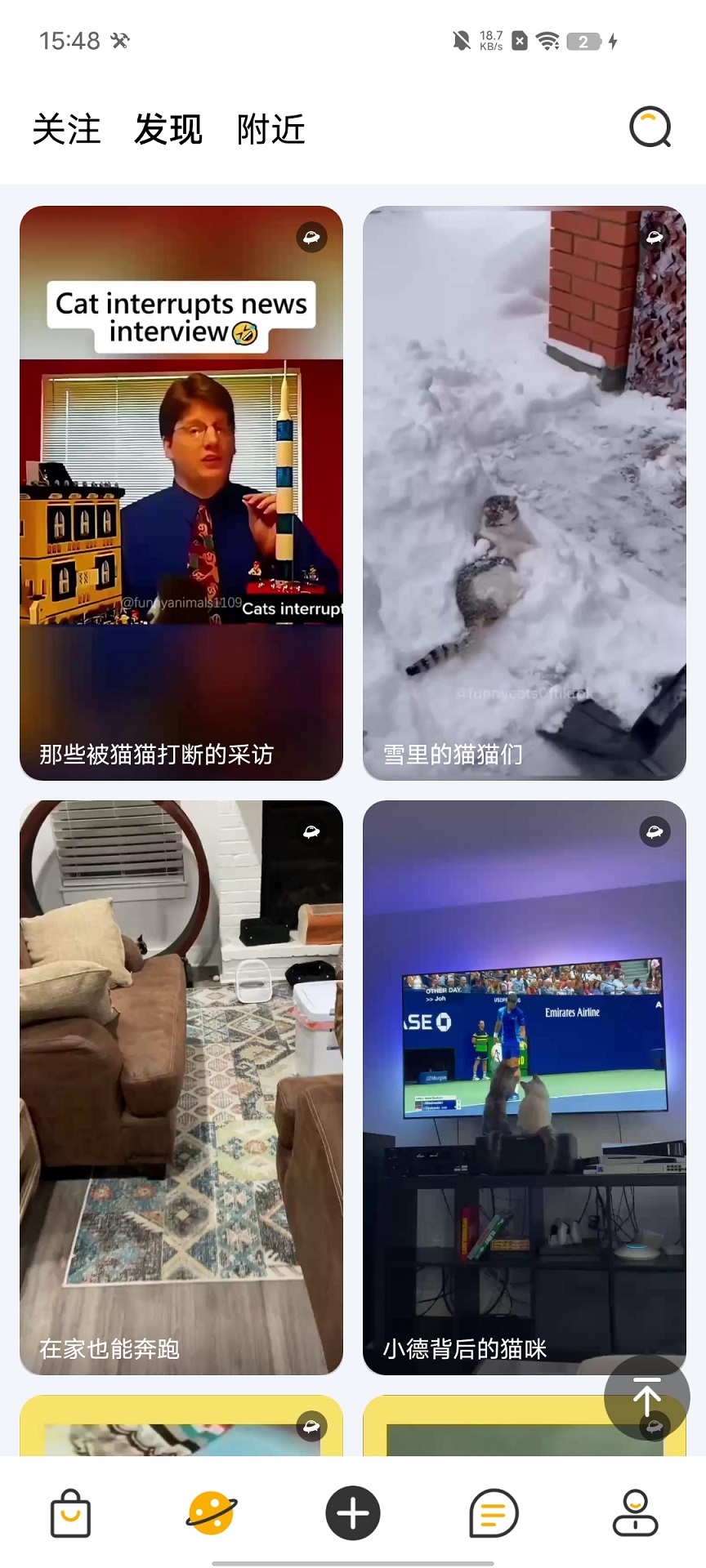 精彩截图-宠物元2026官方新版