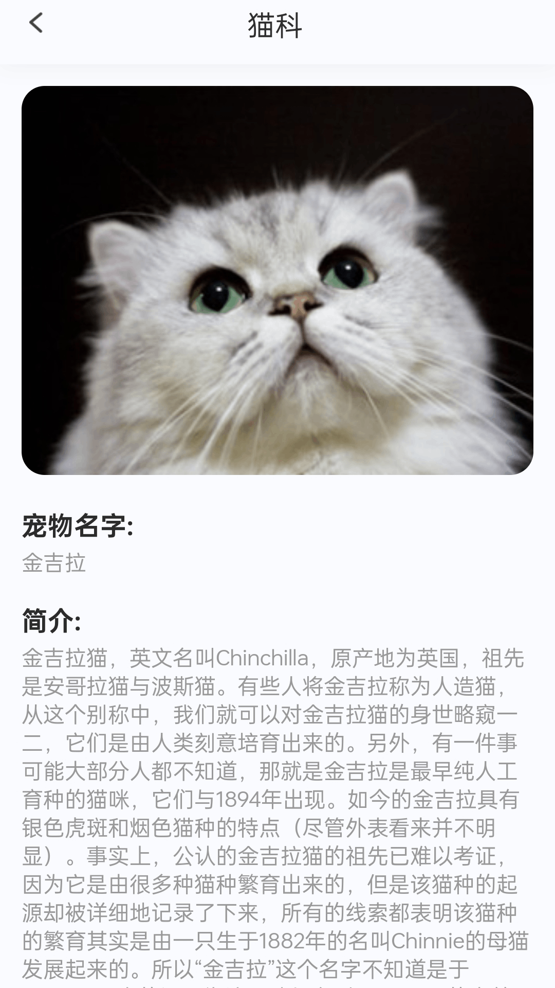 精彩截图-轻松汇看2026官方新版