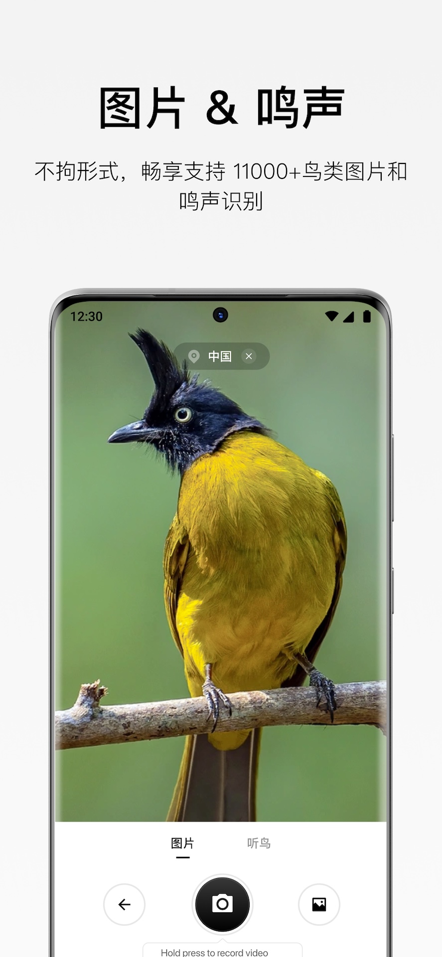 精彩截图-懂鸟2026官方新版