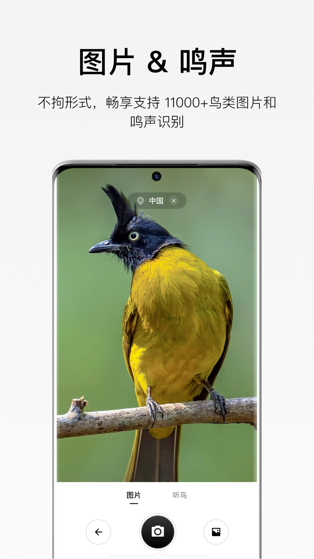 精彩截图-懂鸟2026官方新版