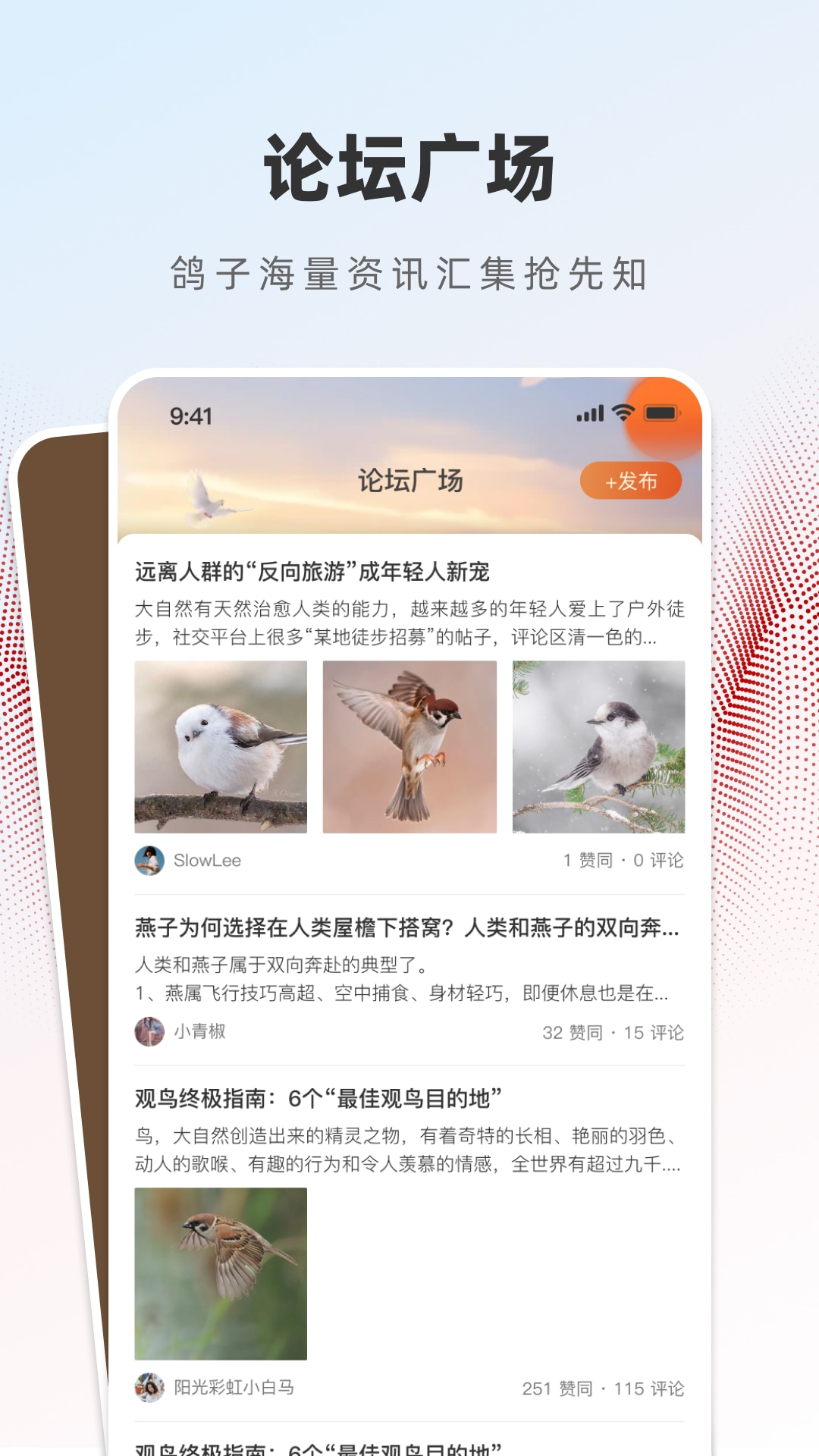 精彩截图-赏鸽缘2026官方新版