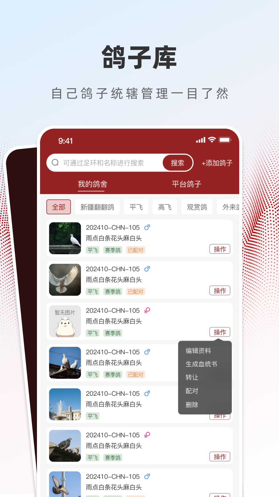 精彩截图-赏鸽缘2026官方新版