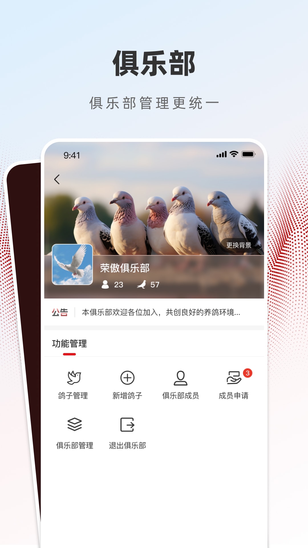 精彩截图-赏鸽缘2026官方新版