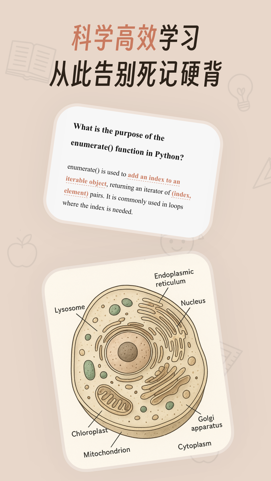 精彩截图-noolingo2026官方新版