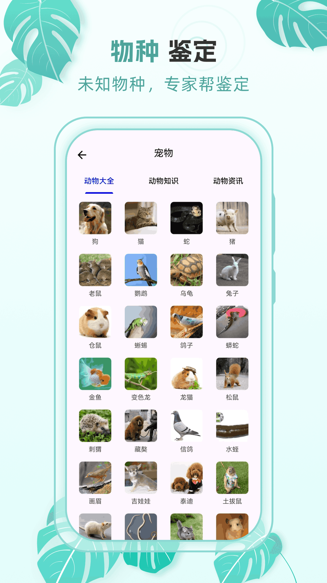 精彩截图-动物世界百科2026官方新版