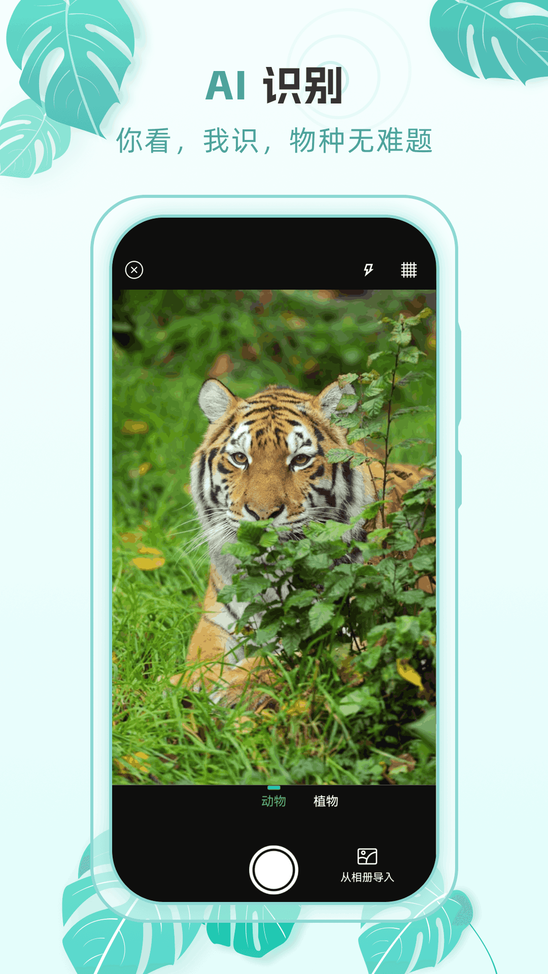 精彩截图-动物世界百科2026官方新版