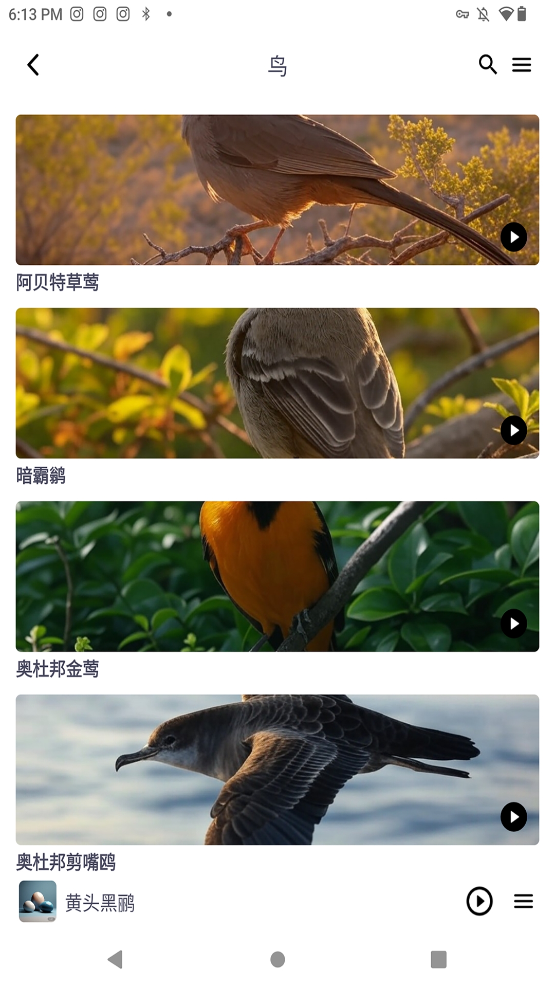 精彩截图-小悦耳2025官方新版