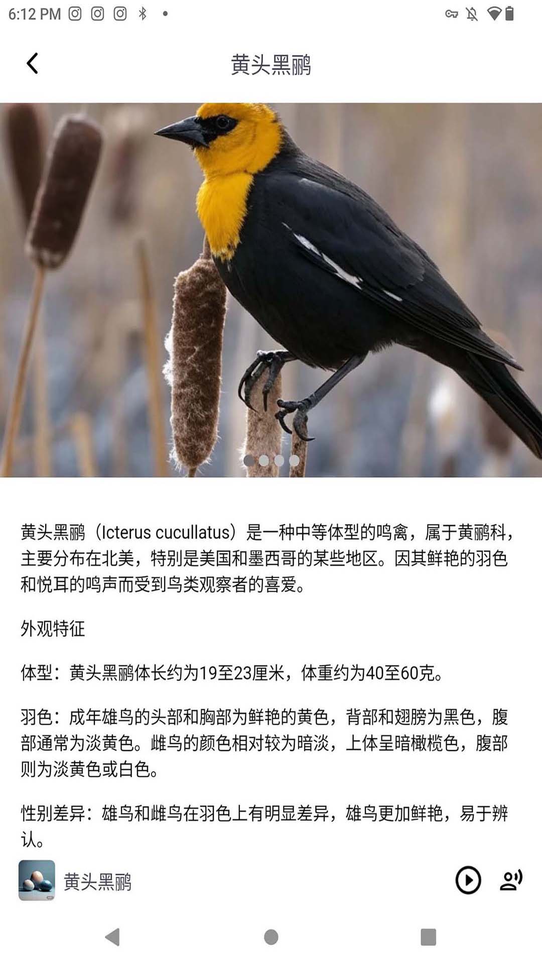精彩截图-小悦耳2025官方新版