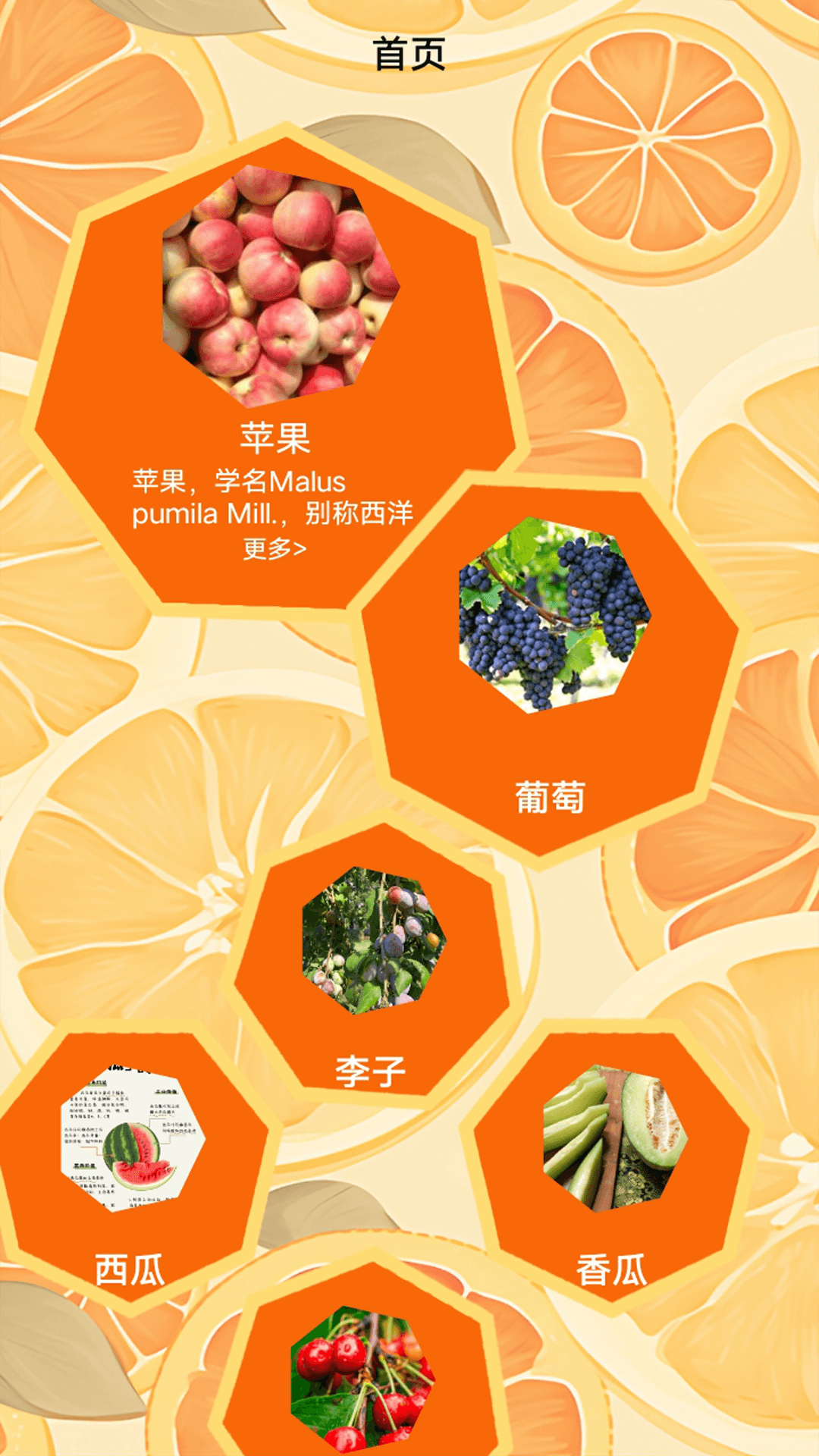 精彩截图-柚子快报告2026官方新版