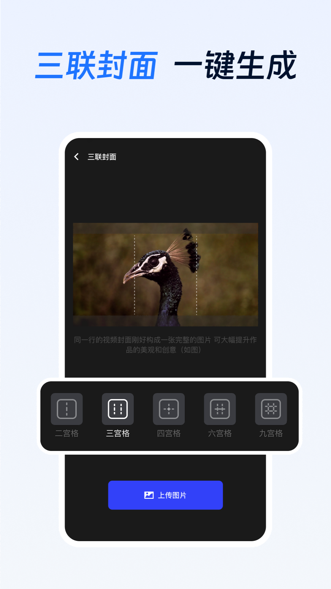 精彩截图-项侠客2026官方新版